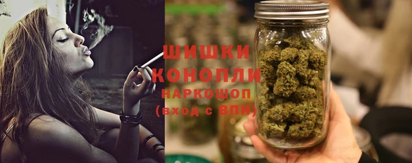 PSILOCYBIN Баксан