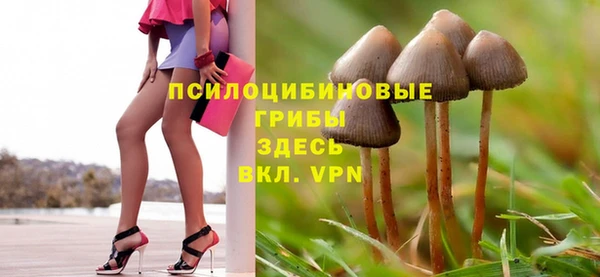 ПСИЛОЦИБИНОВЫЕ ГРИБЫ Балахна