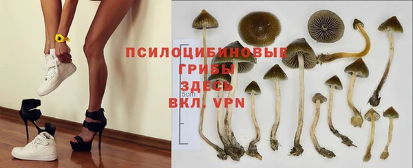 ПСИЛОЦИБИНОВЫЕ ГРИБЫ Балахна