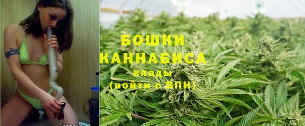 PSILOCYBIN Баксан