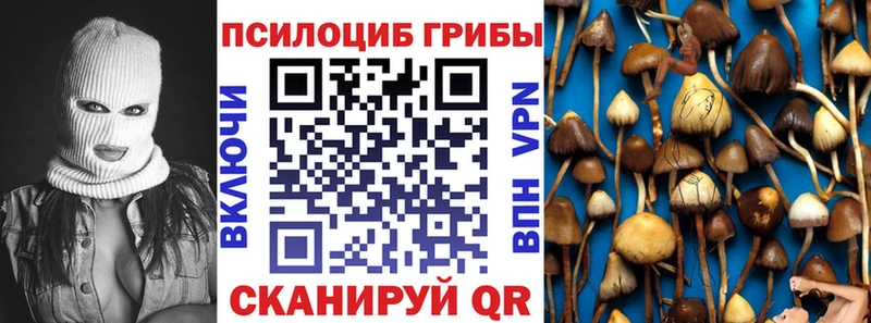 Псилоцибиновые грибы Magic Shrooms  где можно купить   Кохма 