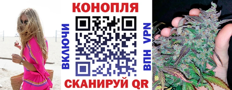 ОМГ ОМГ ТОР  Кохма  Каннабис семена 